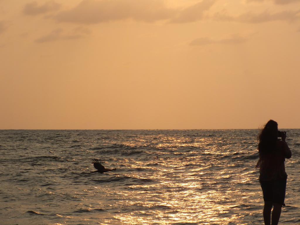 Thoms Beach Homestay Alappuzha 외부 사진